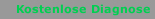 Kostenlose Diagnose
